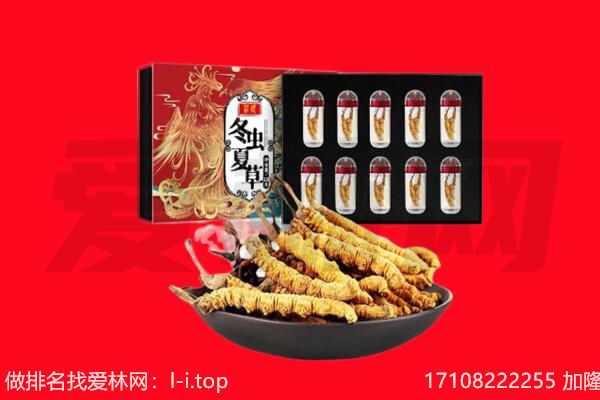 蕉岭县回收虫草.jpg